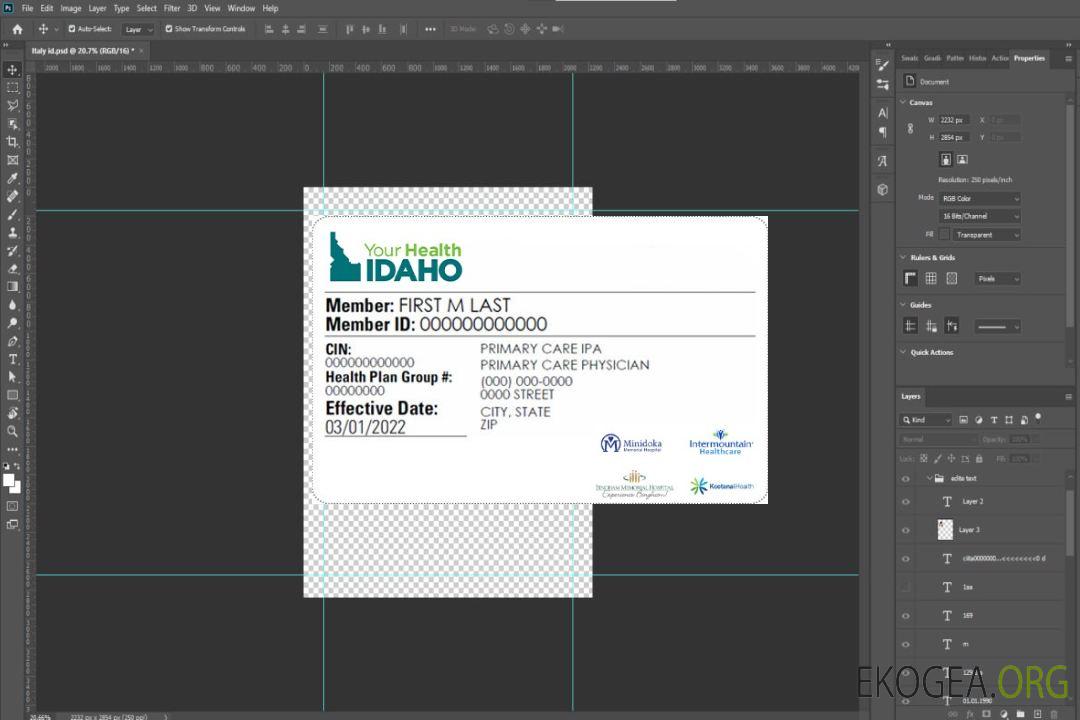 Carte d'assurance maladie de l'Idaho template